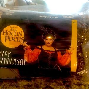 Halloween costume Mary Sanderson complete costume including wig.